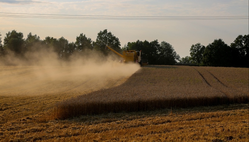 Germany on Mercosur: Rejection means a win for China